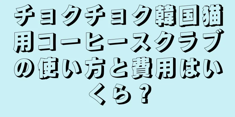 チョクチョク韓国猫用コーヒースクラブの使い方と費用はいくら？