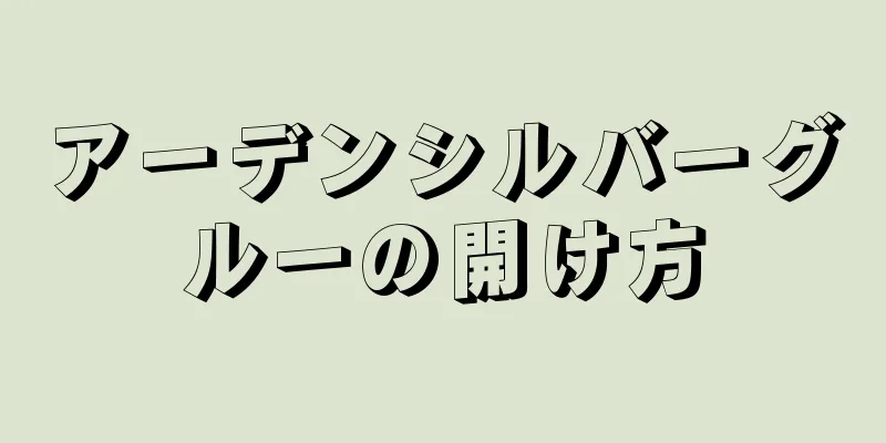 アーデンシルバーグルーの開け方