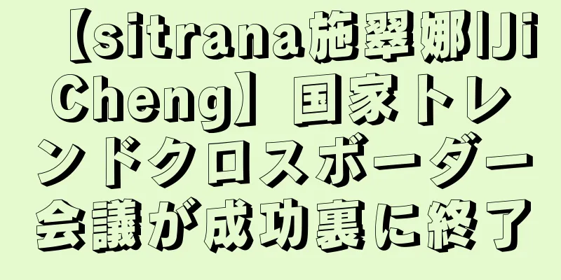 【sitrana施翠娜|Ji Cheng】国家トレンドクロスボーダー会議が成功裏に終了