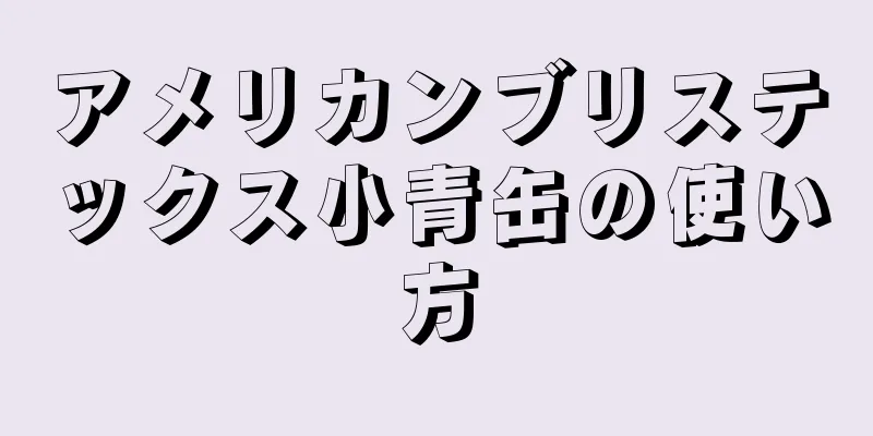 アメリカンブリステックス小青缶の使い方