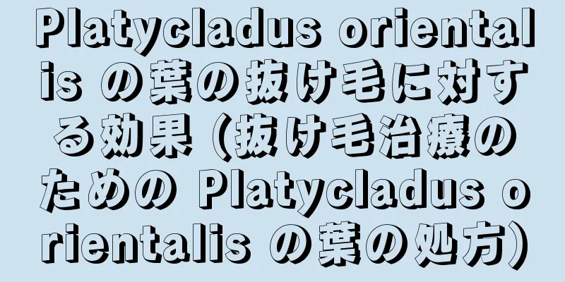 Platycladus orientalis の葉の抜け毛に対する効果 (抜け毛治療のための Platycladus orientalis の葉の処方)