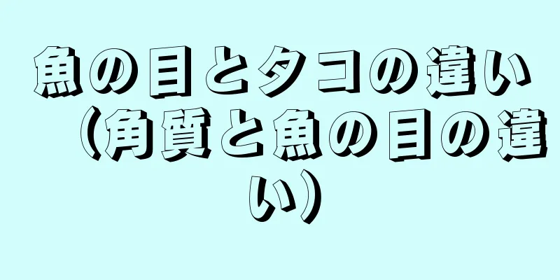 魚の目とタコの違い（角質と魚の目の違い）