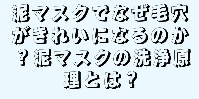 泥マスクでなぜ毛穴がきれいになるのか？泥マスクの洗浄原理とは？