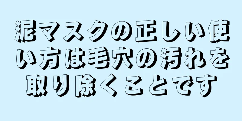 泥マスクの正しい使い方は毛穴の汚れを取り除くことです