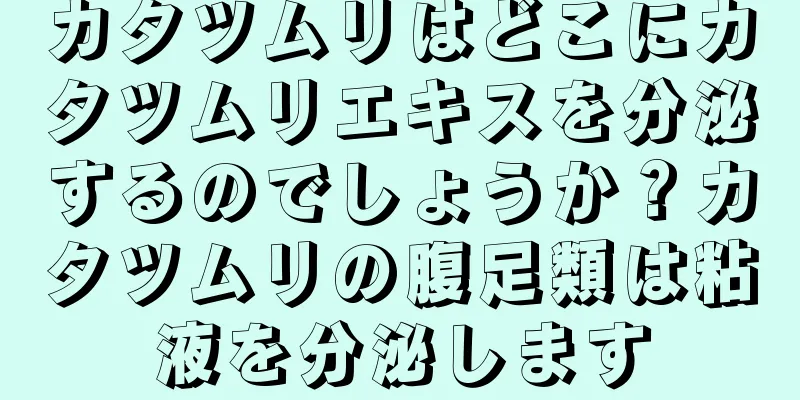 カタツムリはどこにカタツムリエキスを分泌するのでしょうか？カタツムリの腹足類は粘液を分泌します