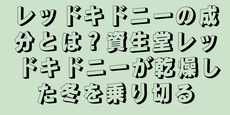 レッドキドニーの成分とは？資生堂レッドキドニーが乾燥した冬を乗り切る