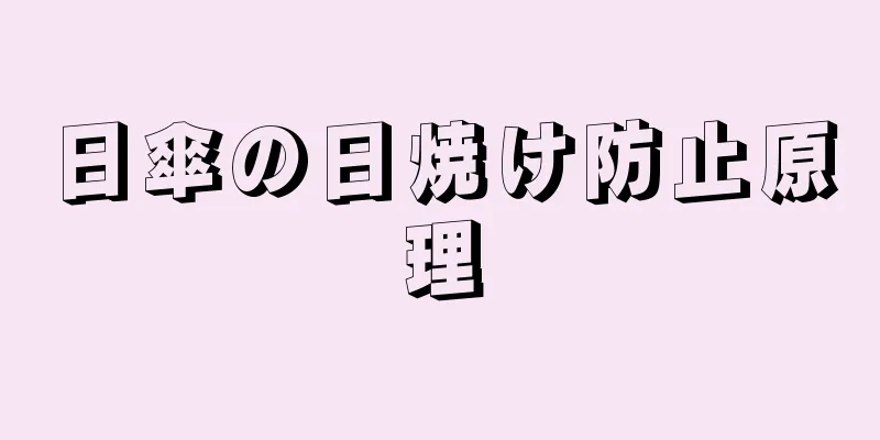 日傘の日焼け防止原理