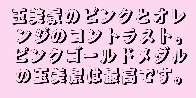 玉美景のピンクとオレンジのコントラスト。ピンクゴールドメダルの玉美景は最高です。