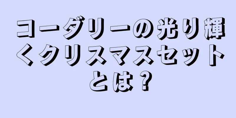 コーダリーの光り輝くクリスマスセットとは？