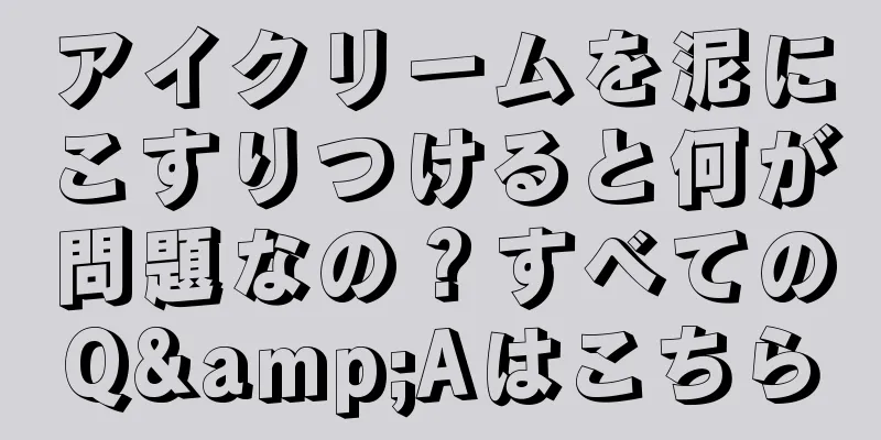 アイクリームを泥にこすりつけると何が問題なの？すべてのQ&Aはこちら