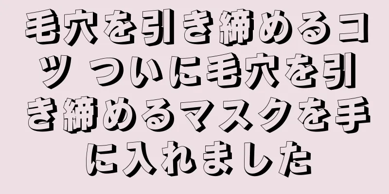 毛穴を引き締めるコツ ついに毛穴を引き締めるマスクを手に入れました